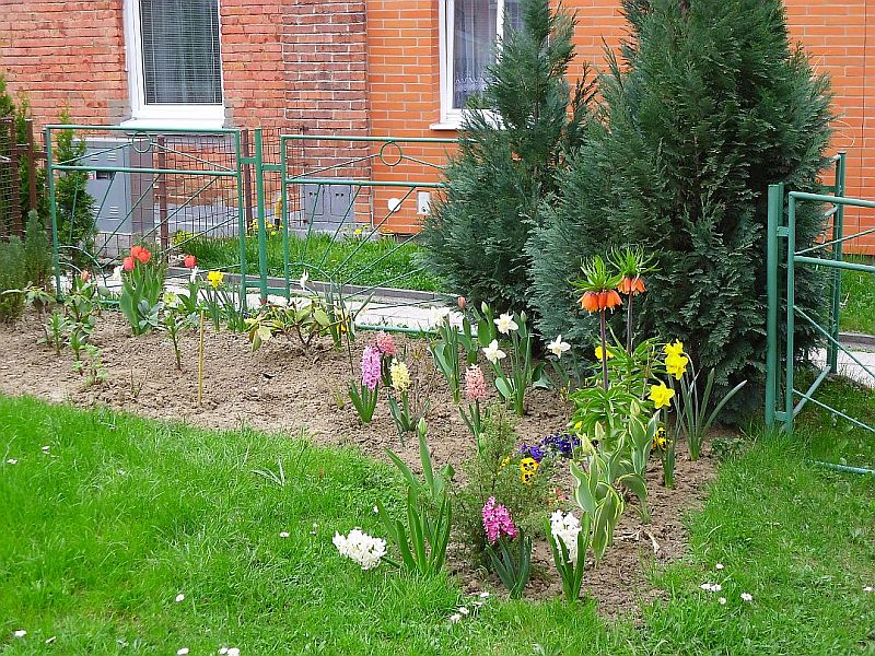 Jarní zahrada 1